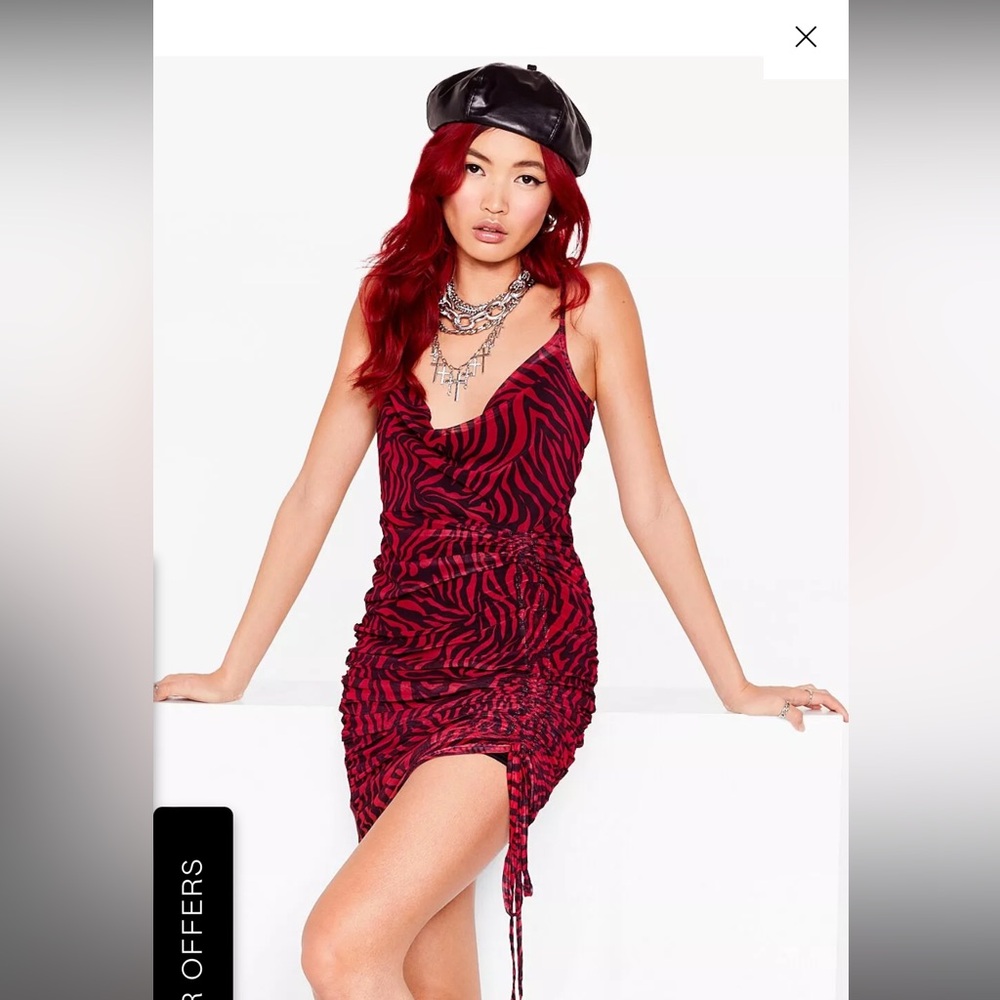 Zebra Mini Dress